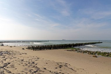 Kutup liderleri, Hollanda sahilinin koruyucuları.