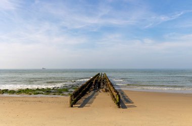 Kutup liderleri, Hollanda sahilinin koruyucuları.