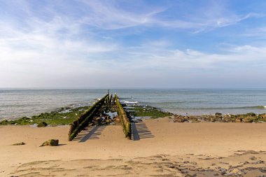 Kutup liderleri, Hollanda sahilinin koruyucuları.