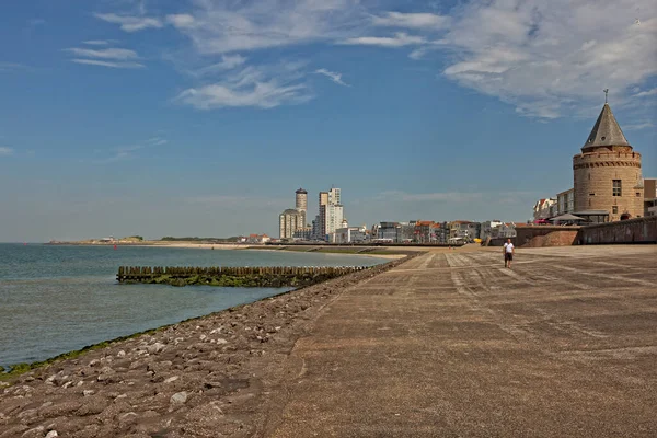 Kutup liderleri, Hollanda sahilinin koruyucuları.