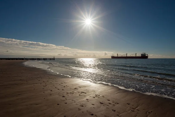 Stokkenhoofden Bewakers Van Nederlandse Kust — Stockfoto