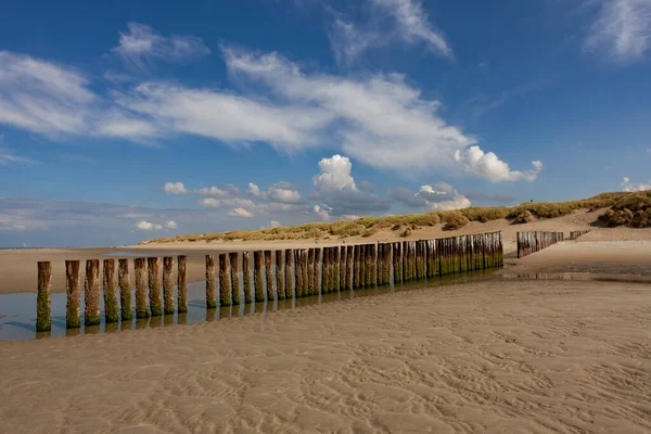 Polenköpfe Wächter Der Niederländischen Küste — Stockfoto