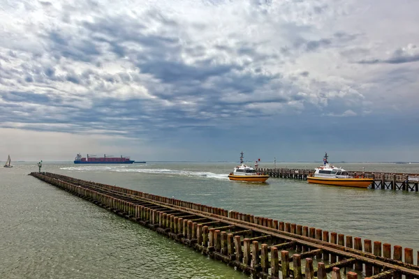 Kutup liderleri, Hollanda sahilinin koruyucuları.