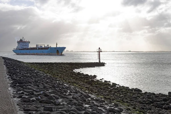 Kutup liderleri, Hollanda sahilinin koruyucuları.