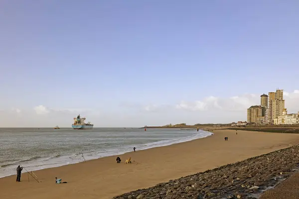 Kutup liderleri, Hollanda sahilinin koruyucuları.