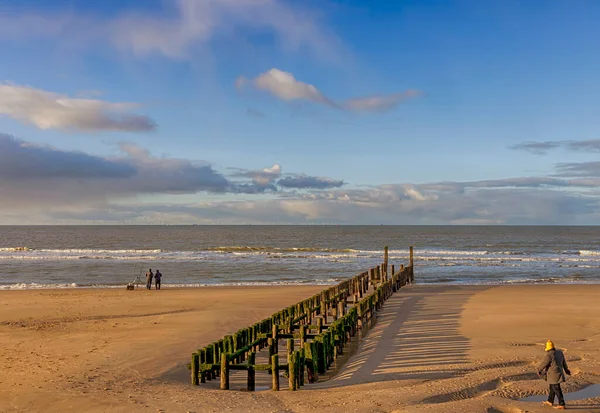 Pole Heads Guardians Dutch Coast — Stock Photo, Image