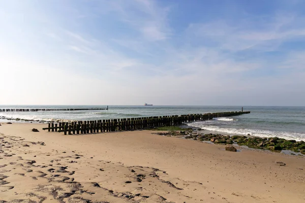 Kutup liderleri, Hollanda sahilinin koruyucuları.