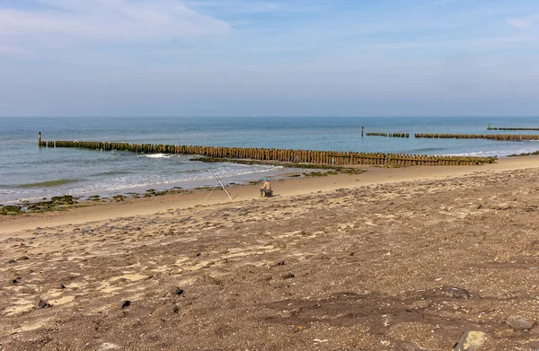 Polenköpfe Wächter Der Niederländischen Küste — Stockfoto
