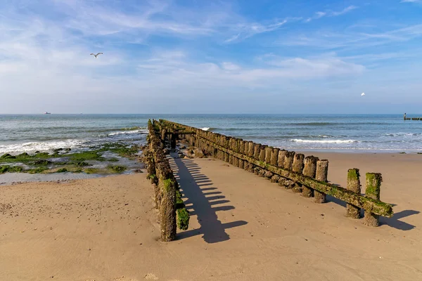 Pole Heads Guardians Dutch Coast — Stock Photo, Image