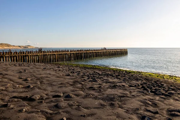 Kutup liderleri, Hollanda sahilinin koruyucuları.