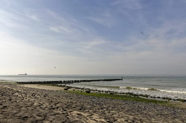 Pole Heads Guardians Dutch Coast — стокове фото