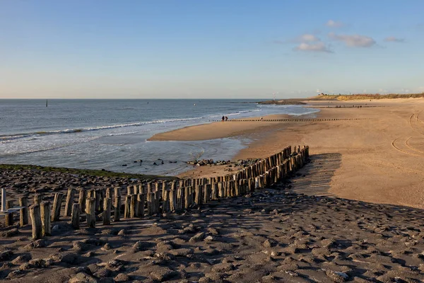 Stokkenhoofden Bewakers Van Nederlandse Kust — Stockfoto