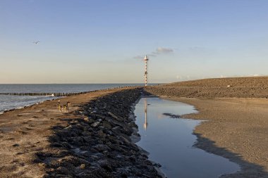 Kutup liderleri, Hollanda sahilinin koruyucuları.