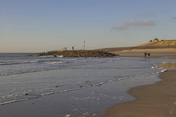 Stokkenhoofden Bewakers Van Nederlandse Kust — Stockfoto