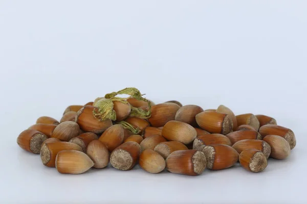 Свежесобранные Скорлупе Целые Hazelnuts Белом Фоне — стоковое фото