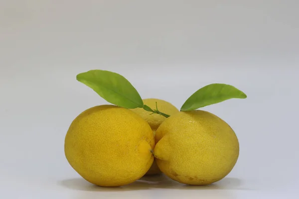 yellow lemons on white background