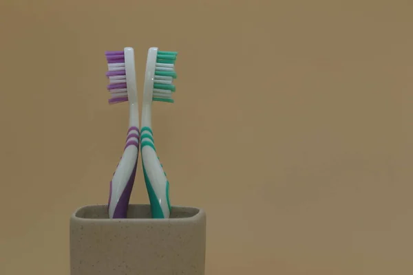 Toothbrushes Plastic Toothbrush Holder — Stock Photo, Image