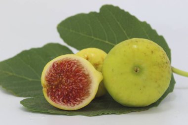  Yazın incir meyvesi ve incir yaprağı