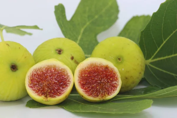 fig fruits and fig leaf in summer