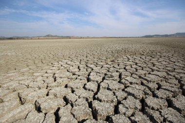 Şiddetli kuraklık nedeniyle göl yatağını çatlattı