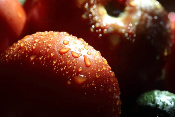 Tomates Maduros Con Gotas Agua — Foto de Stock