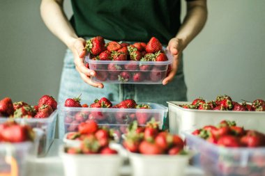 Bahçede olgun çilek toplayan bir kadın..