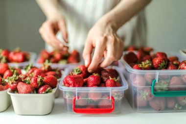 Bahçede olgun çilek toplayan bir kadın..