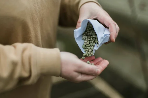 Gardener Sowing Peas Seeds Vegetable Bed Preparing New Garden Season — Stok Foto