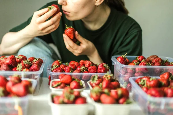 Woman gathering ripe strawberries in the garden.