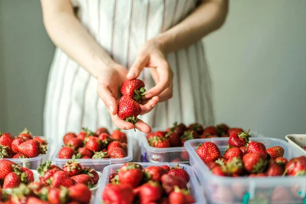 Woman Gathering Ripe Strawberries Garden — 图库照片