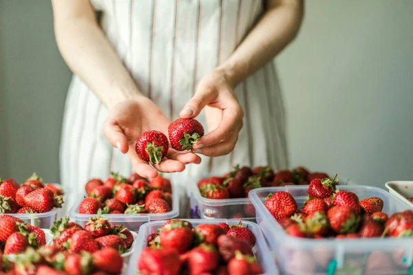 Bahçede olgun çilek toplayan bir kadın..