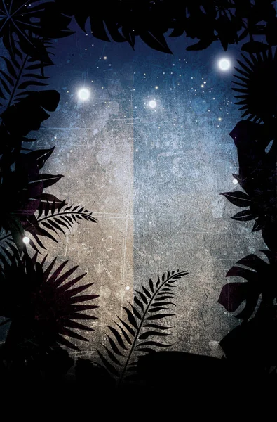 Tropical night card with shadows of vegetation a place to write a message in the center