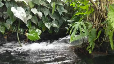 Havuzdaki çeşme suya oksijen koymaya ve suyu filtrelemeye yarıyor..