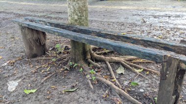 Koltuk ahşaptan yapılmıştır. Bu sembolik bir şeydir. Çünkü altında kısmen zeminin üzerine yayılmış ağaç kökleri vardır..