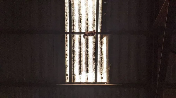 Telhado Plástico Transparente Usado Para Que Luz Possa Entrar Sala — Fotografia de Stock