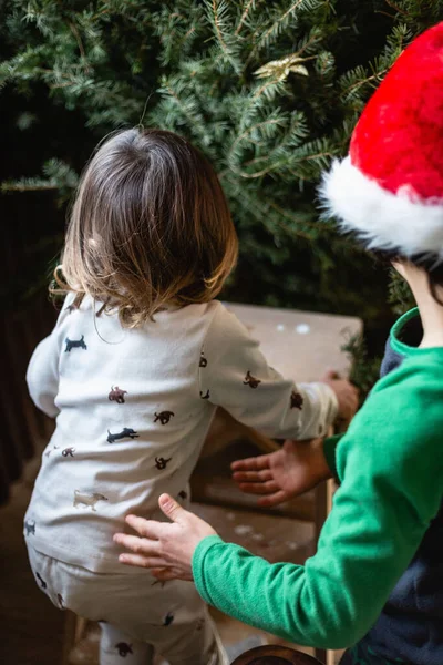 Küçük Kız Kardeşim Evde Noel Ağacı Süslüyor Ablam Ona Yardım — Stok fotoğraf