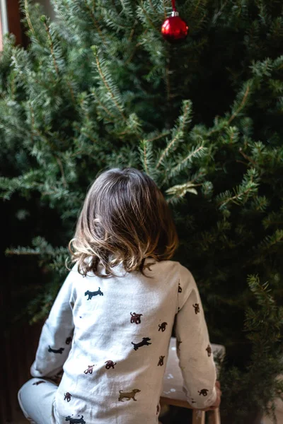 Irmãzinha Decorando Árvore Natal Casa Irmã Mais Velha Ajudando Segurando — Fotografia de Stock