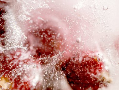 Ice cube meyveleri dondurulmuş