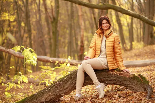Krásná Mladá Žena Kráčí Stezce Lese Podzimní Suché Listí Zemi Royalty Free Stock Obrázky