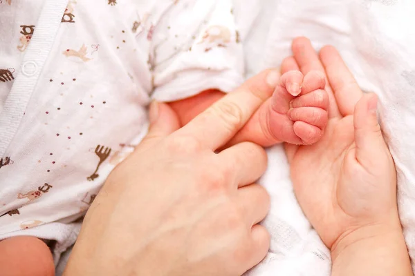 Main Bébé Dans Les Mains Mère Fête Des Enfants Nouveau — Photo