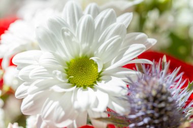 Bir buket güzel çiçek.