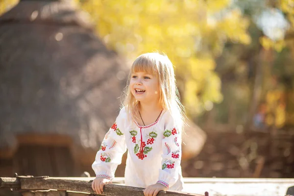 在秋天的公园里 一个女孩的画像 孩子周围有明亮的橙色和红色的叶子 — 图库照片