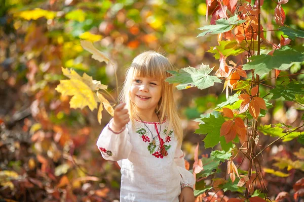 Portrait Girl Autumn Park Bright Orange Red Leaves Child — Stock Photo, Image