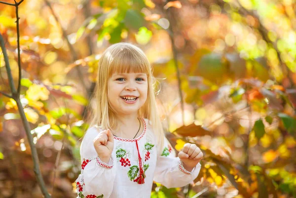 Πορτρέτο Ενός Κοριτσιού Ένα Πάρκο Φθινόπωρο Φωτεινό Πορτοκαλί Και Κόκκινα — Φωτογραφία Αρχείου
