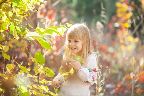 在秋天的公园里 一个女孩的画像 孩子周围有明亮的橙色和红色的叶子 — 图库照片