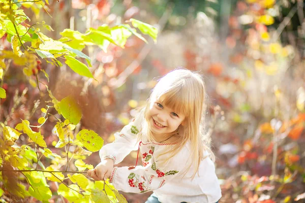Portrait Girl Autumn Park Bright Orange Red Leaves Child — Stock Photo, Image