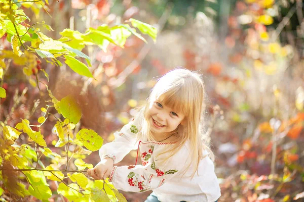 Retrato Uma Menina Parque Outono Laranja Brilhante Folhas Vermelhas Redor — Fotografia de Stock