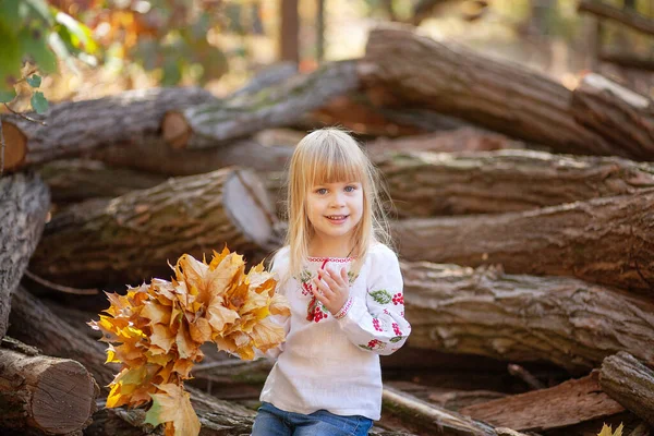 Retrato Uma Menina Parque Outono Laranja Brilhante Folhas Vermelhas Redor — Fotografia de Stock