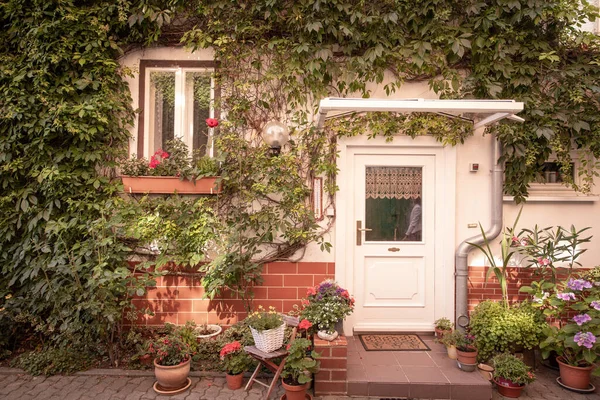 Beautiful Courtyard Rural House Lot Plants Greenery Flowers Flowerpots Beautiful — ストック写真