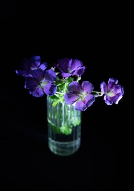 Vazodaki mavi çiçekler